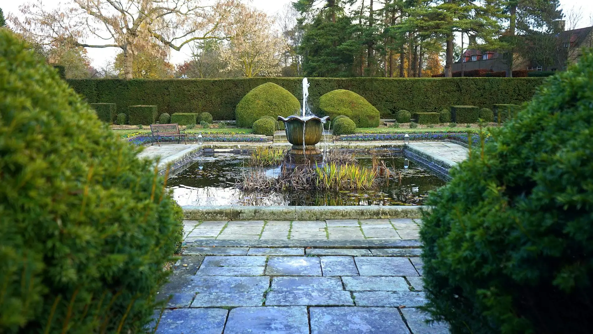 image 13